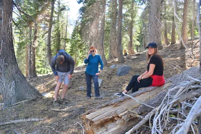 DSC_7825 (Large).JPG